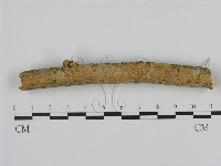 登錄號:F0012260藏品圖，第1張
