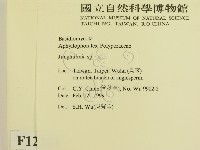 登錄號:F0012261藏品圖，第2張