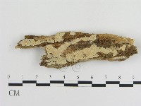 登錄號:F0012261藏品圖，第1張