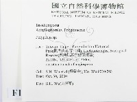 多孔菌屬藏品圖，第2張