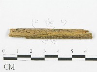 登錄號:F0012263藏品圖，第1張