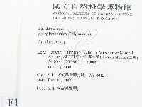 登錄號:F0012264藏品圖，第2張
