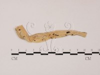 登錄號:F0012265藏品圖，第3張