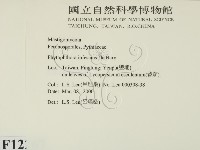 登錄號:F0012267藏品圖，第2張