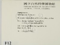 登錄號:F0012269藏品圖，第2張