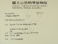 登錄號:F0012272藏品圖，第2張