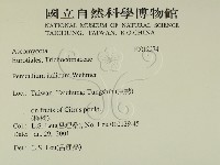 登錄號:F0012274藏品圖，第2張
