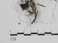 登錄號:F0012277藏品圖，第1張