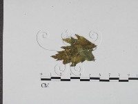 登錄號:F0012278藏品圖，第3張