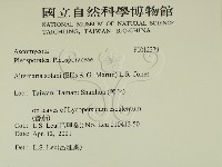 登錄號:F0012279藏品圖，第2張