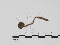 登錄號:F0012281藏品圖，第1張