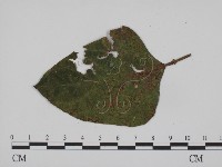 登錄號:F0012284藏品圖，第1張