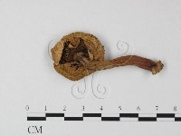 登錄號:F0012286藏品圖，第3張
