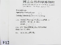 登錄號:F0012287藏品圖，第2張