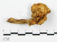 登錄號:F0012288藏品圖，第1張