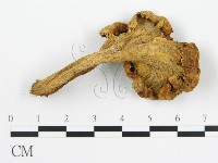 登錄號:F0012288藏品圖，第3張
