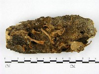 登錄號:F0012289藏品圖，第1張