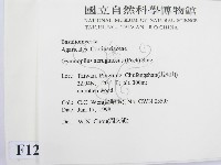 登錄號:F0012290藏品圖，第2張