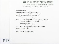 登錄號:F0012291藏品圖，第2張