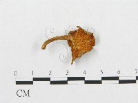 登錄號:F0012291藏品圖，第1張