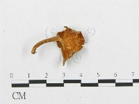 登錄號:F0012291藏品圖，第4張