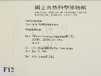 登錄號:F0012292藏品圖，第2張