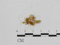 登錄號:F0012292藏品圖，第1張