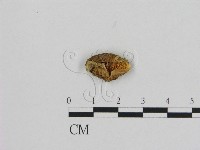 登錄號:F0012293藏品圖，第3張