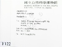 登錄號:F0012294藏品圖，第2張