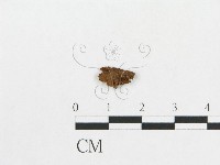 登錄號:F0012294藏品圖，第1張