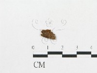 登錄號:F0012294藏品圖，第3張
