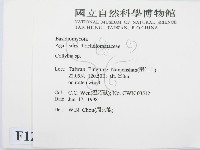 登錄號:F0012295藏品圖，第2張