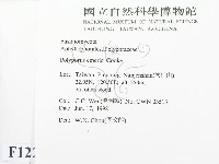 登錄號:F0012296藏品圖，第2張