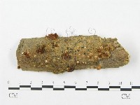 登錄號:F0012296藏品圖，第1張