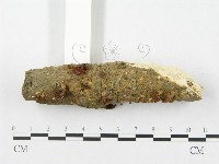 登錄號:F0012296藏品圖，第3張