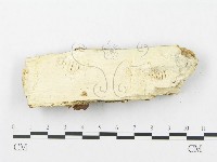 登錄號:F0012296藏品圖，第4張