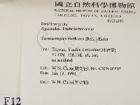 登錄號:F0012298藏品圖，第2張