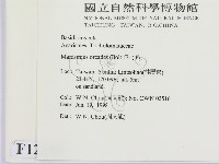 登錄號:F0012299藏品圖，第2張