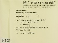 登錄號:F0012300藏品圖，第2張