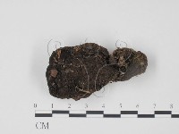登錄號:F0012301藏品圖，第1張