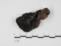 登錄號:F0012301藏品圖，第3張