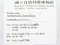 登錄號:F0012302藏品圖，第2張