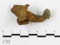 登錄號:F0012302藏品圖，第1張