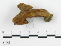 登錄號:F0012302藏品圖，第3張