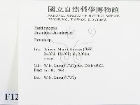 紅菇屬藏品圖，第2張