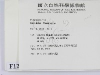 登錄號:F0012305藏品圖，第2張