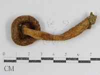 登錄號:F0012305藏品圖，第1張