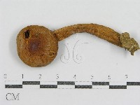 登錄號:F0012305藏品圖，第3張