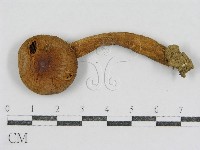 登錄號:F0012305藏品圖，第4張