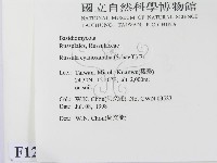 登錄號:F0012306藏品圖，第2張